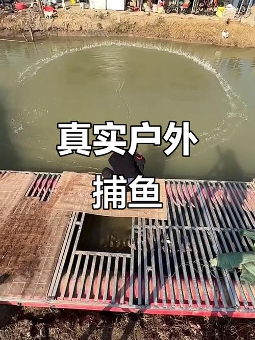 捕魚方法大全_捕魚賺金方案_捕魚技巧與注意事項