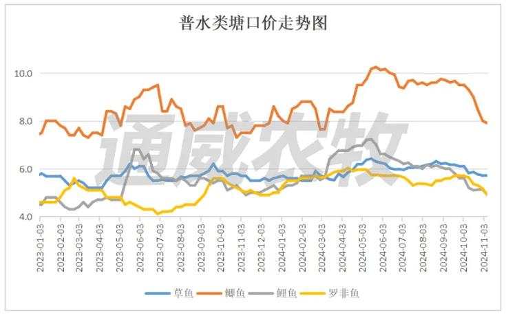 羅非魚為什么那么便宜_海南羅非魚價格下跌_美國羅非魚進口量下降
