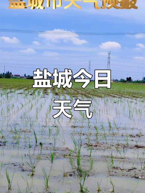 鹽城11月天氣好不好_鹽城天氣預報_揚州2024年11月天氣