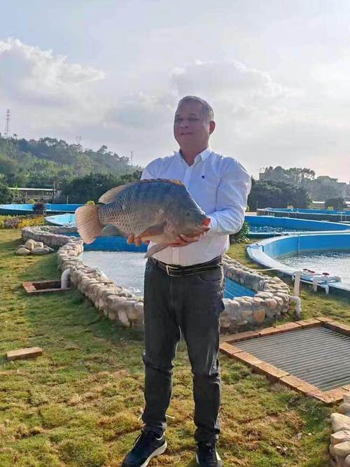 羅非魚產業技術革新_羅非魚為什么那么便宜_茂名羅非魚養殖