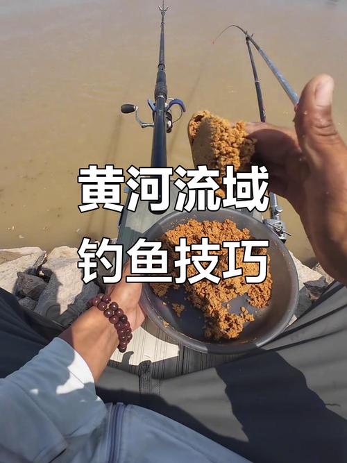 黃河鯉魚釣法_野釣黃河大鯉魚_黃河稀有魚種