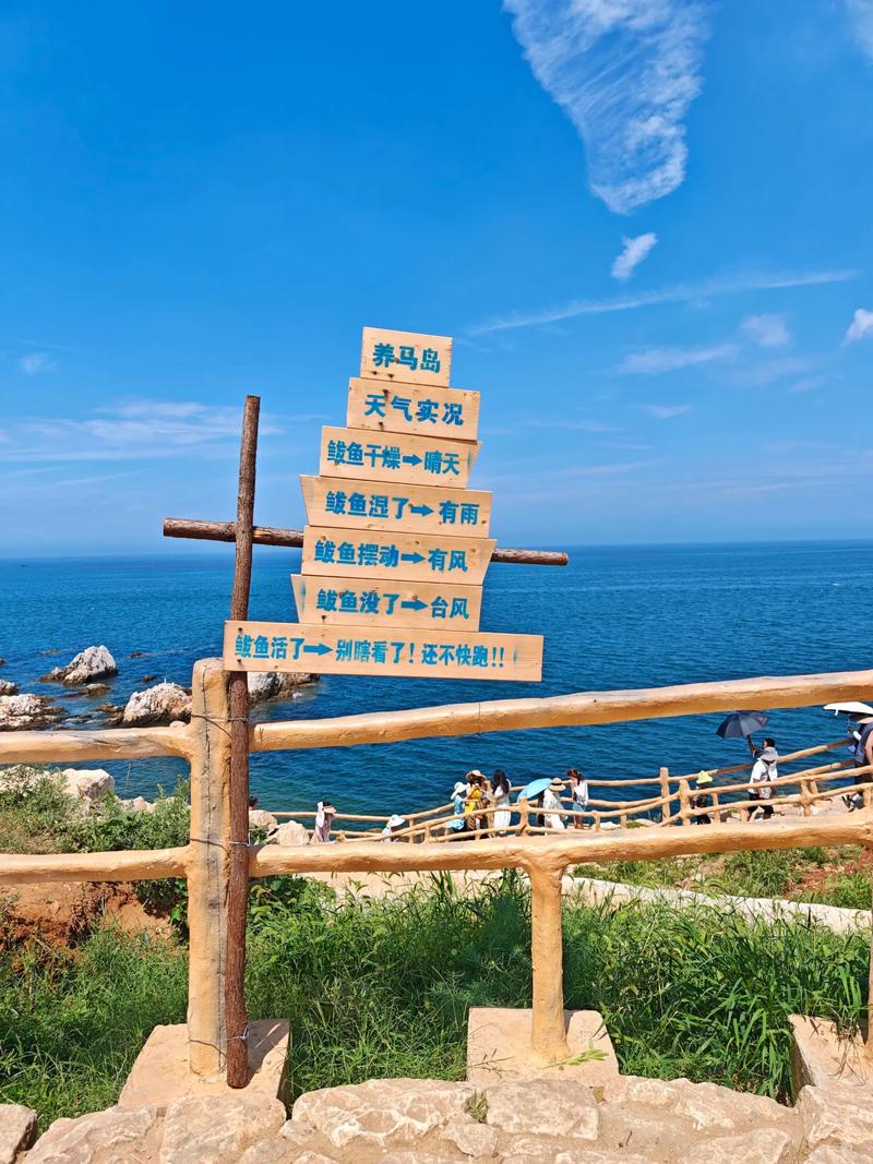 養馬島的天氣_養馬島一周天氣_養馬島天氣