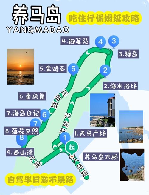 養馬島一周天氣_養馬島的天氣_養馬島天氣