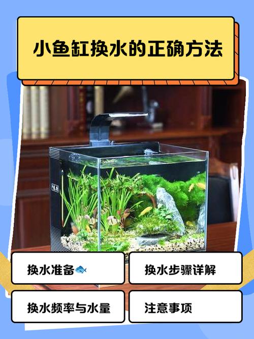 養魚死魚原因_頻繁換水誤區_養魚技巧