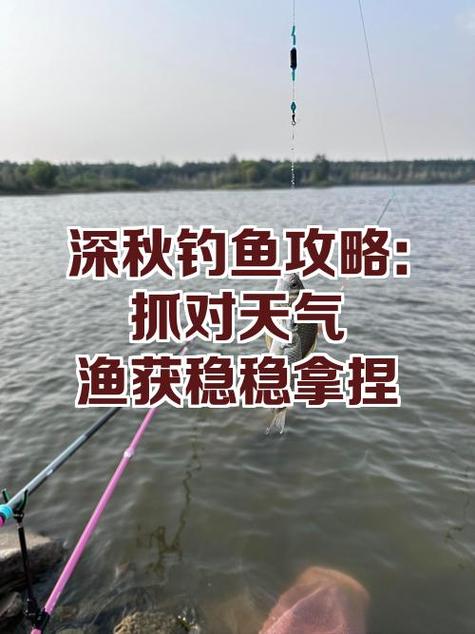 深秋魚情分析_深秋釣魚技巧_深秋釣魚技巧視頻