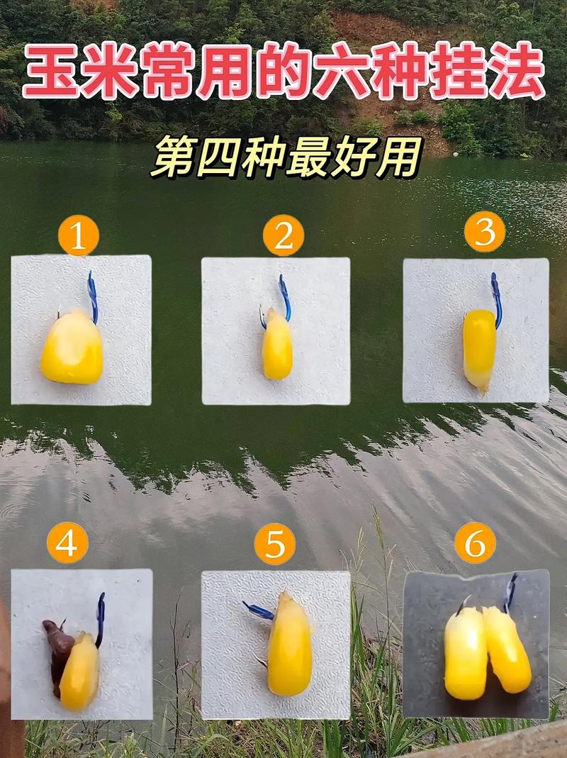玉米粒釣魚掛鉤方法圖_玉米釣餌穿鉤方式_玉米釣大魚技巧