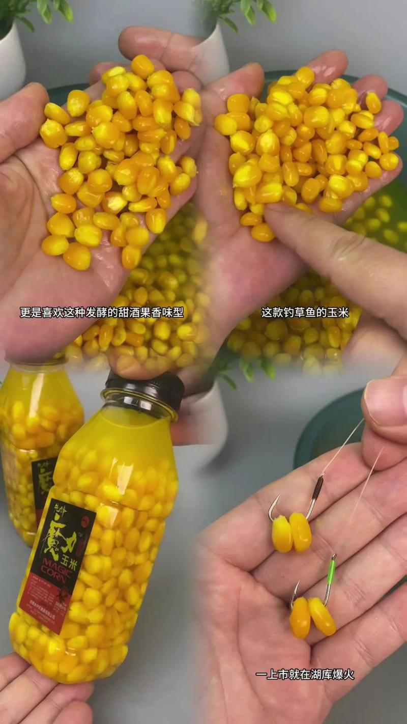 你熟玉米是什么意思_玉米香精稀釋釣魚方法_玉米香精