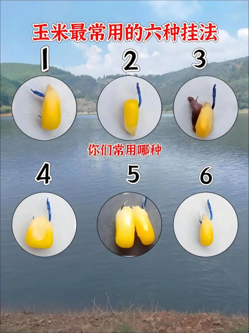玉米香精_玉米香精稀釋釣魚方法_你熟玉米是什么意思