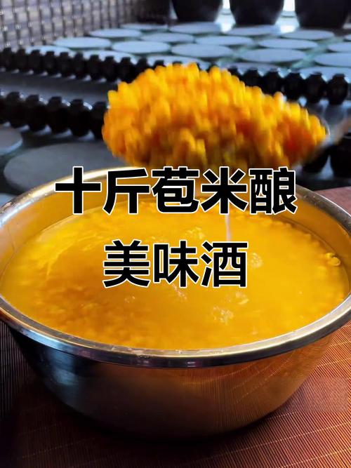 玉米發酵米酒_安琪甜酒曲發酵老玉米_安琪酵母甜酒曲制作醪糟