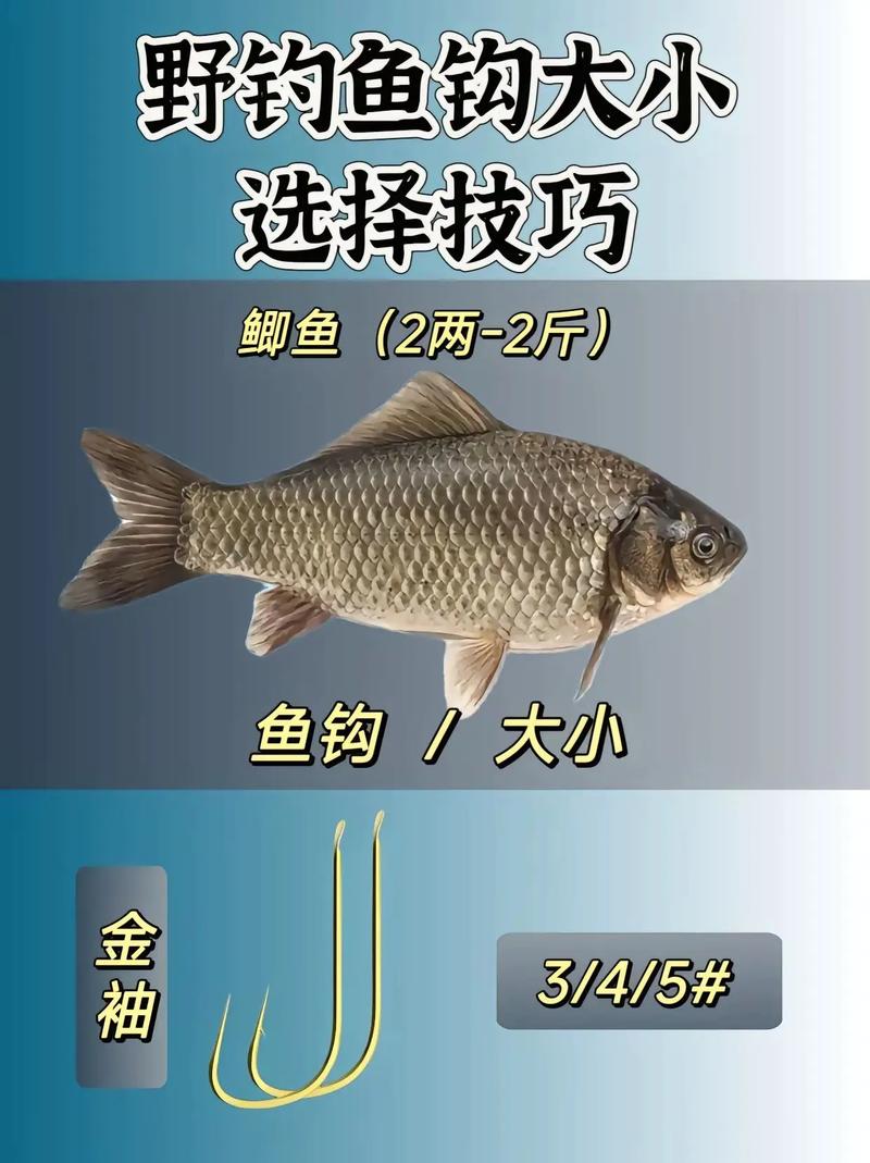 釣點選擇技巧_海竿串鉤釣法_野外垂釣你會選擇魚鉤嗎