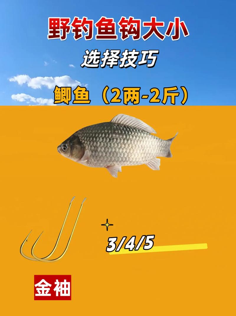 傳統釣法與現代釣法對比_傳統釣法裝備與現代釣法裝備差異_野外垂釣你會選擇魚鉤嗎