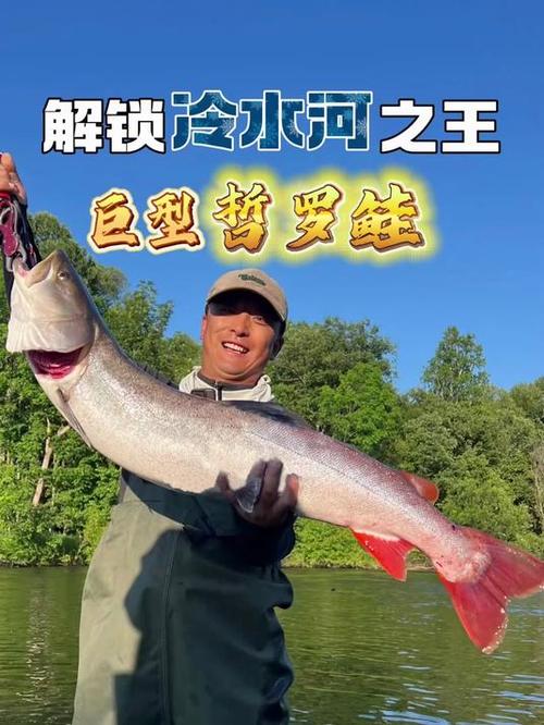 黑龍江哲羅魚產地_撫遠哲羅魚介紹_遠東哲羅魚