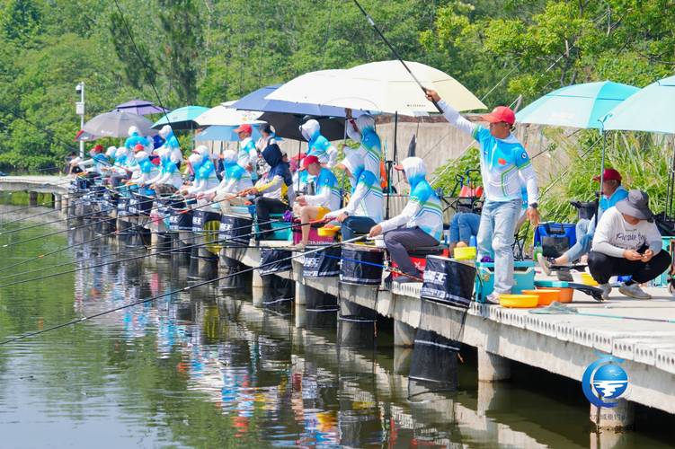 運動空間央視網_運動空間釣魚_運動空間游釣中國全集