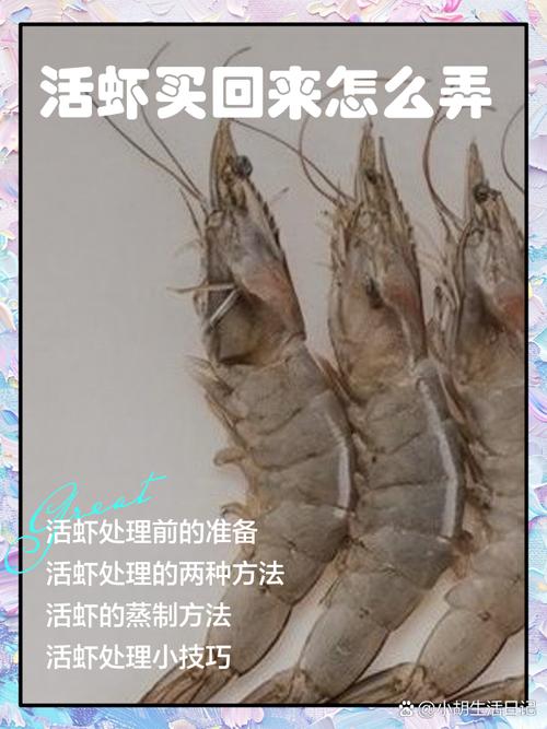 黑殼蝦怎么養繁殖快_黑殼蝦蛻殼急救措施_黑殼蝦蛻殼期間注意事項