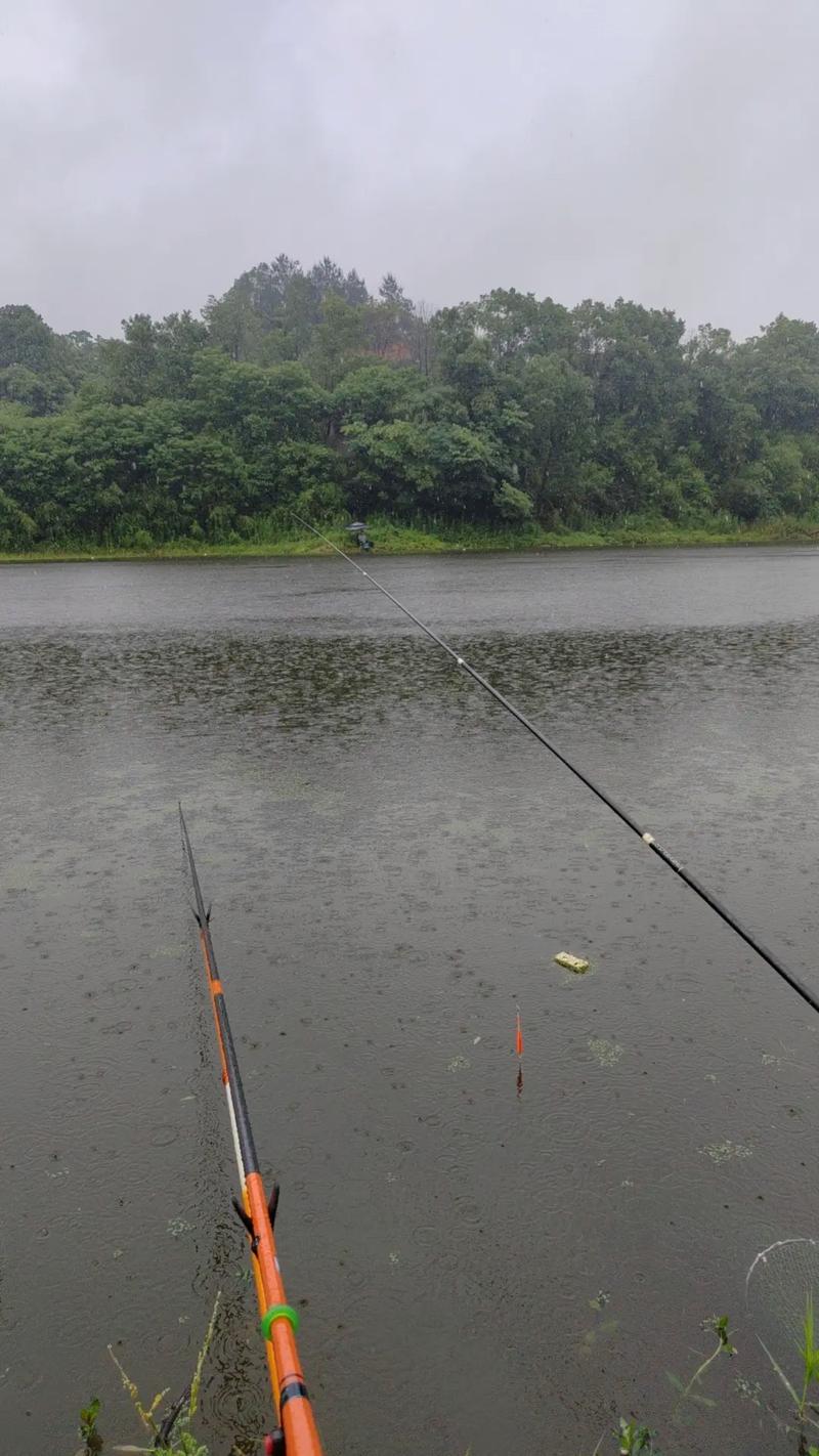 晴天雨天釣魚哪個好_下雨天釣魚技巧_陰雨天釣魚技巧_雨天釣魚技巧_雨天釣魚技巧