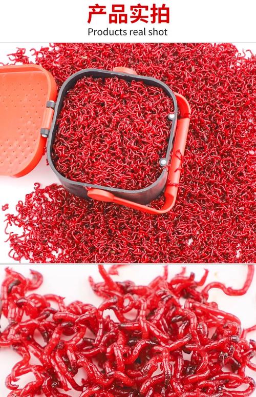 紅蟲真的很危險嗎？要知道它可是餌料王者_紅蟲釣魚效果_紅蟲病謠言解析