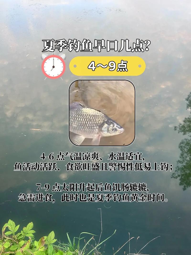 垂釣技巧鯽魚_初夏釣大鯽魚技巧_釣草釣大鯽魚方法