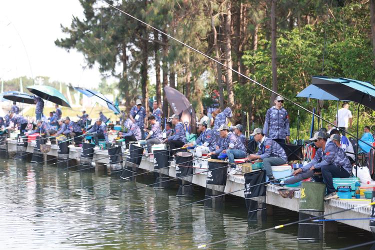 淡水湖釣魚技巧_垂釣比賽視頻_釣魚游戲攻略