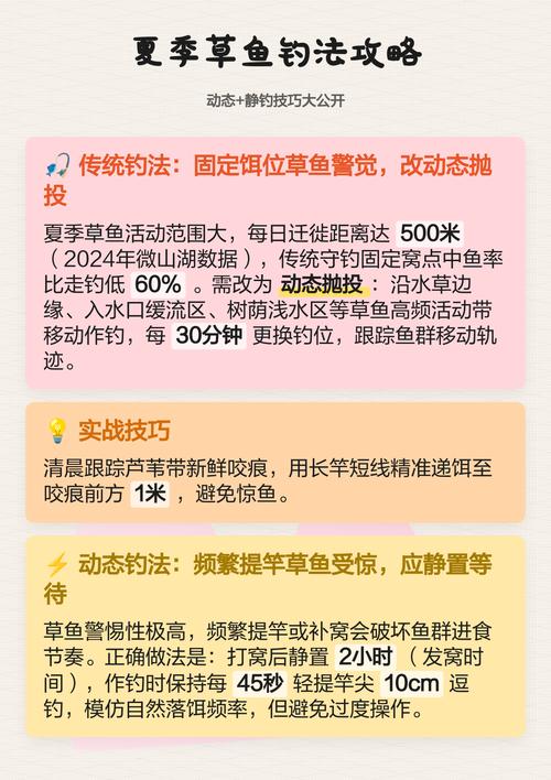 夏季釣草魚的應對技巧必看_仲夏釣草魚技巧_夏天釣草魚最佳時間