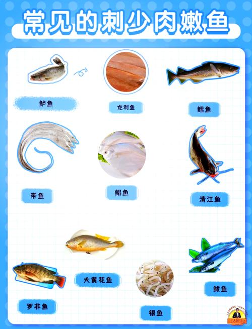 白鰱魚怎么釣_白鰱四大家魚養殖_白鰱肉質口感特點