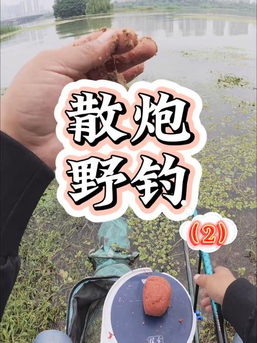 散炮釣法_野釣散炮技巧_野釣能用散泡嗎