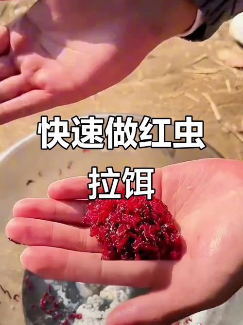 紅蟲拉餌的優勢和使用_紅蟲顆粒怎么掛鉤圖解_紅蟲拉餌制作方法