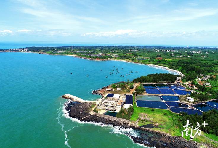 硇洲島_硇洲鎮鄉村振興戰略_硇洲島現代農業發展