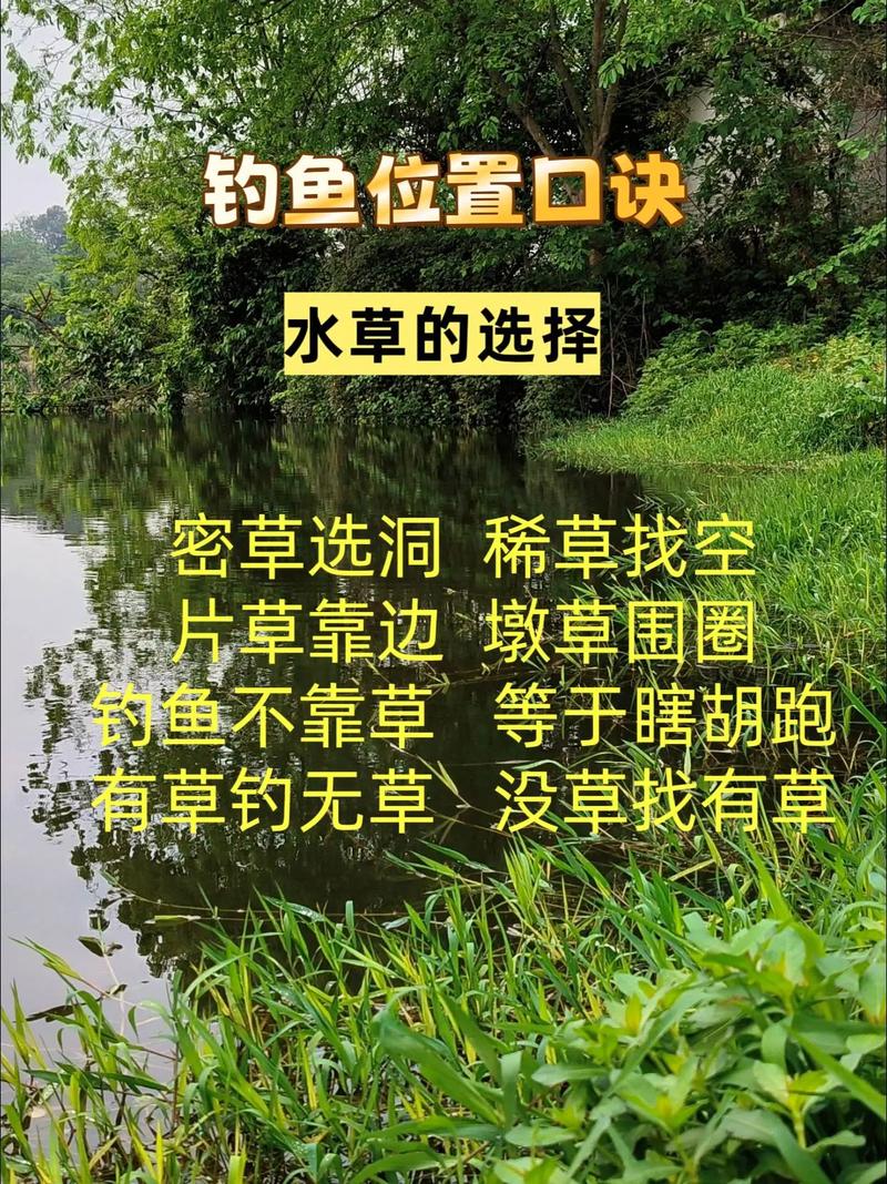 釣草魚技巧_浮釣草魚離水底多少_草魚垂釣深度選擇