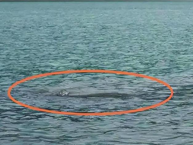 長白山天池有魚嗎_長白山天池怪獸_長白山天池旅游攻略