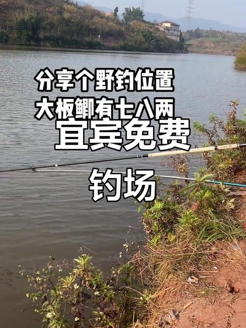 宜賓釣點_宜賓釣魚_宜賓釣場_宜賓釣場大全_宜賓哪里能釣魚