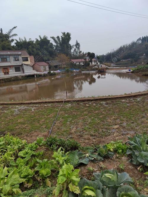 宜賓釣場_宜賓釣場大全_宜賓哪里能釣魚_宜賓釣點_宜賓釣魚