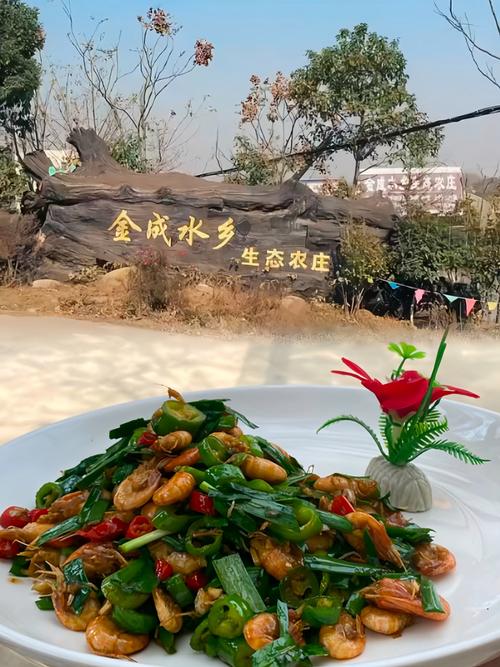 長沙賞花旅游攻略_長沙市農家樂_長沙鄉村旅游節