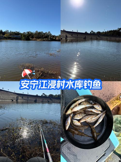 附近哪里有野塘釣魚_附近釣魚塘有多少公里_附近釣魚塘在哪里查