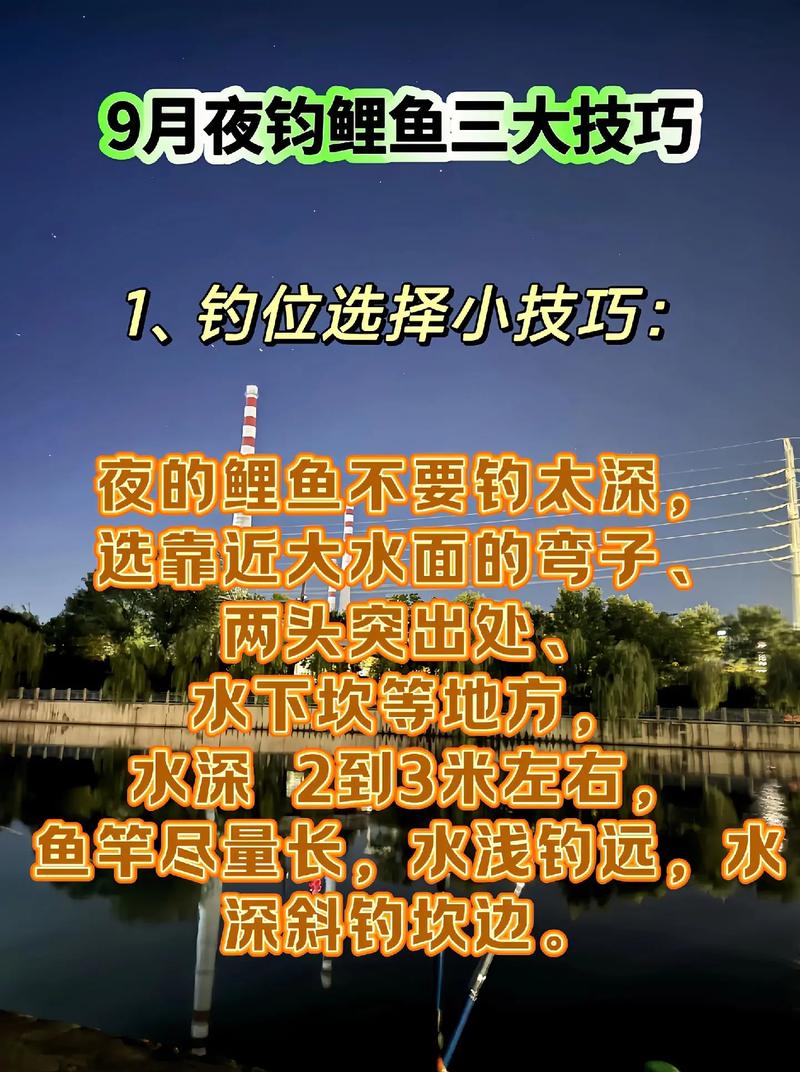 夏季在水庫夜釣鯉魚的必備技巧必看_夏季陰雨天釣鯉魚_春季大水面釣鯉魚