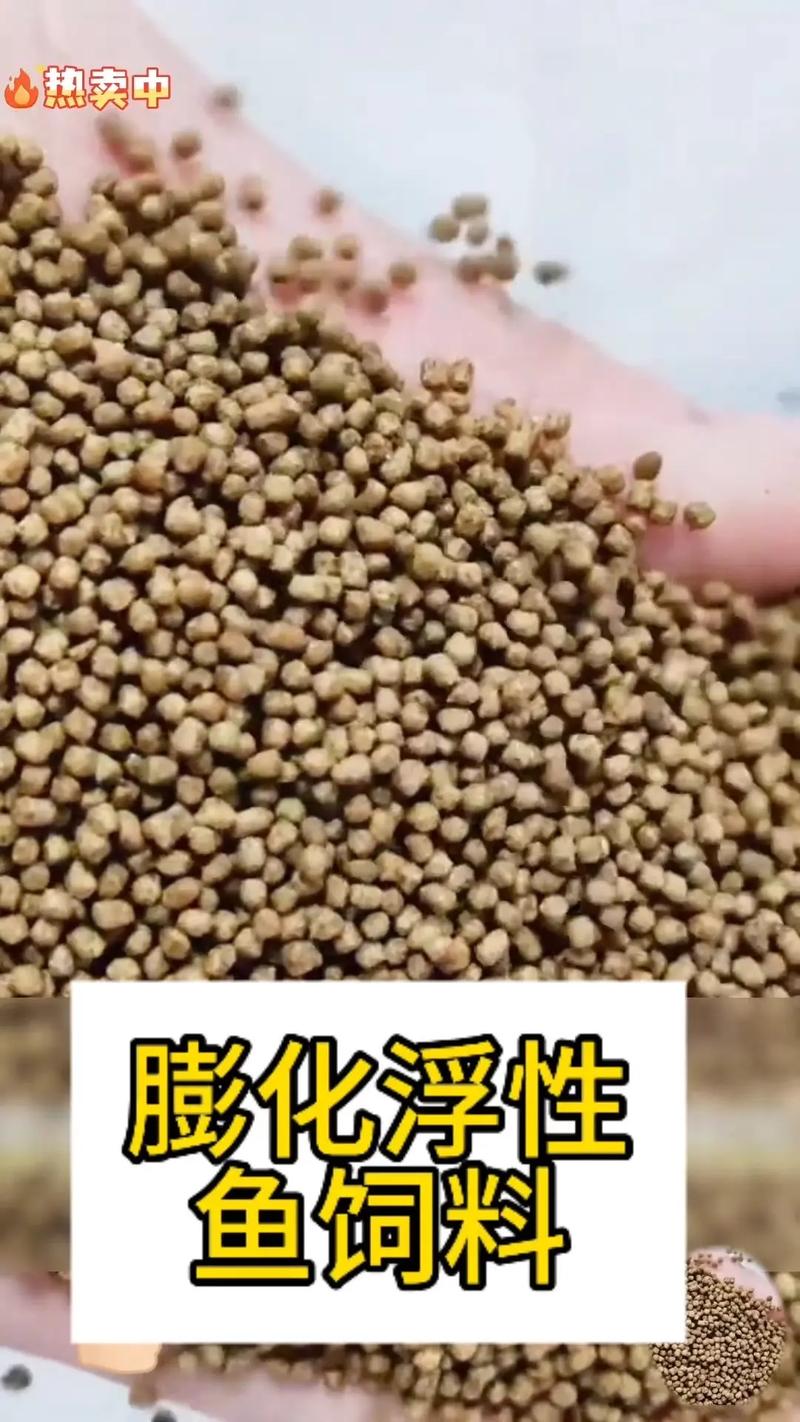花鰱魚飼料配方_花鰱魚用上浮飼料還是用下沉飼料?_花鰱魚養殖技術
