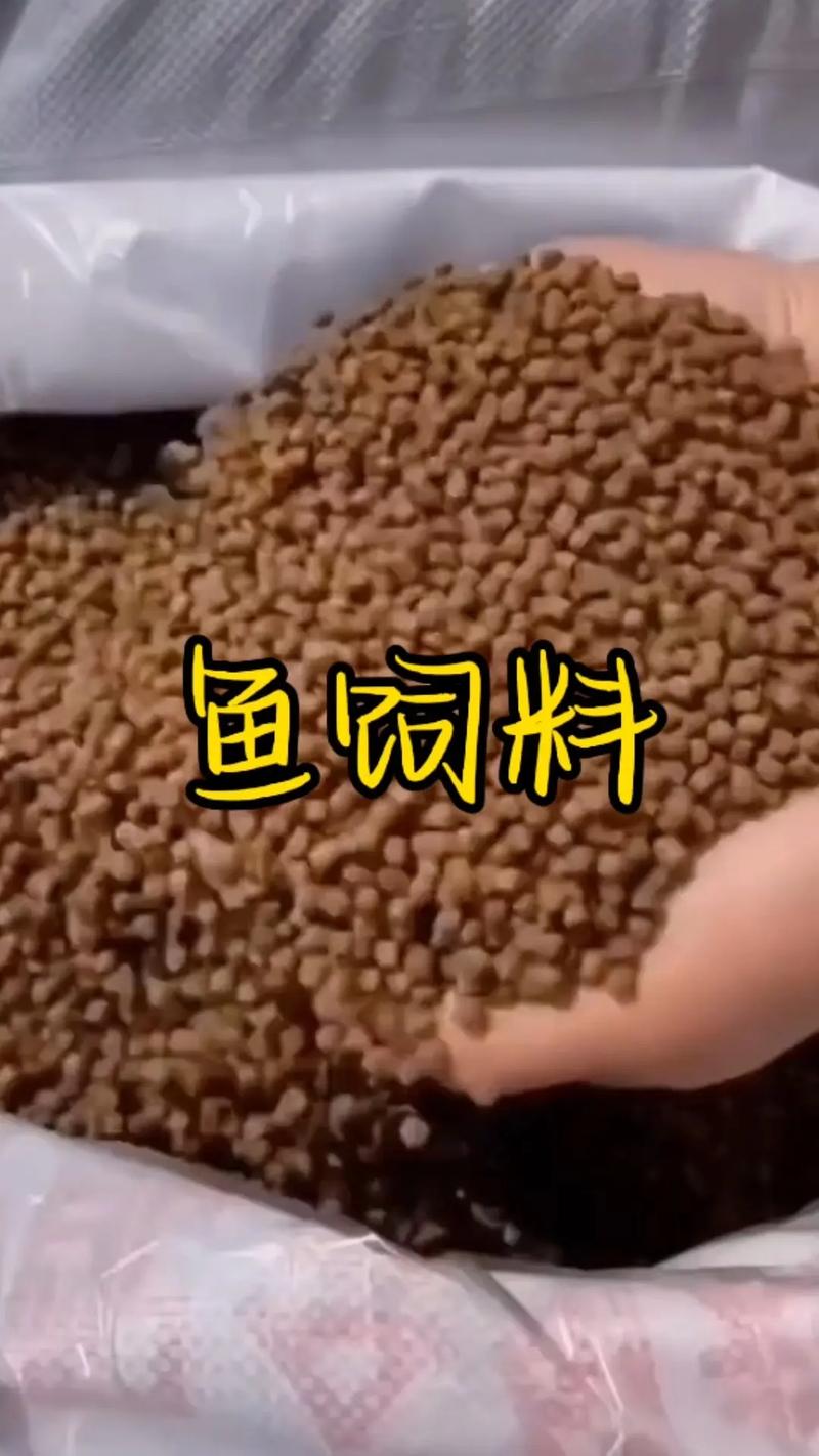 花鰱魚用上浮飼料還是用下沉飼料?_花鰱魚養殖技術_花鰱魚飼料配方