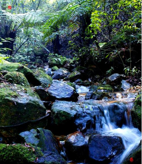 肇慶九龍湖_肇慶九龍湖景區_九龍湖四大景觀