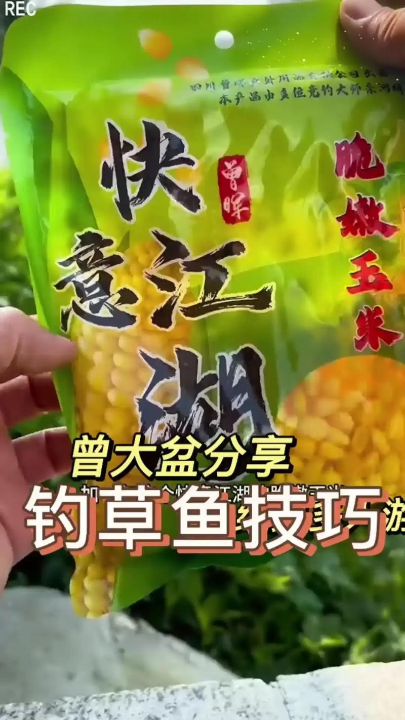 用玉米能釣草魚嗎用玉米釣草魚是釣底還是釣浮_果味嫩玉米釣草魚配方分享_秋季釣草魚果味嫩玉米配方