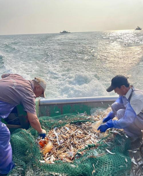 天津北塘海鮮市場美食攻略_北塘碼頭出海捕魚體驗_北塘出海