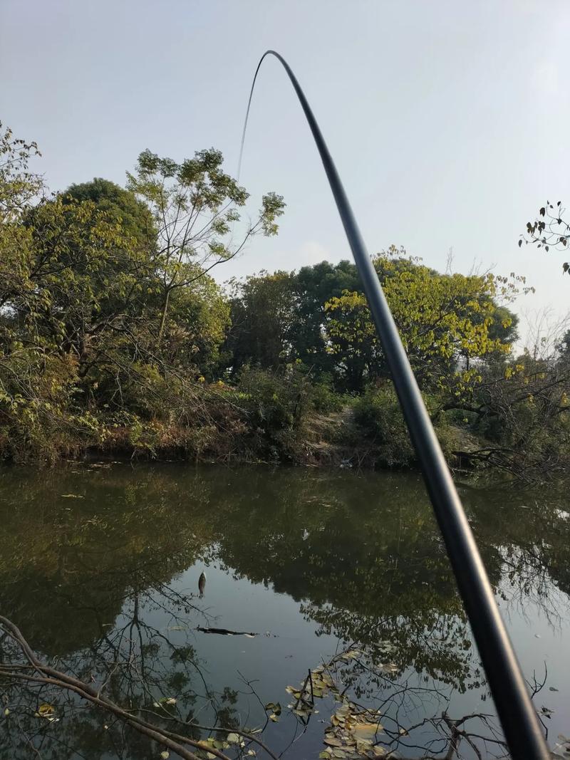 包鉤釣法_長竿短線釣法_長竿短線傳統釣鯽法
