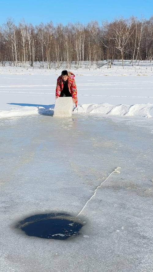 野釣鯽魚冰洞_冰釣鯽魚視頻_冰釣蘆葦蕩
