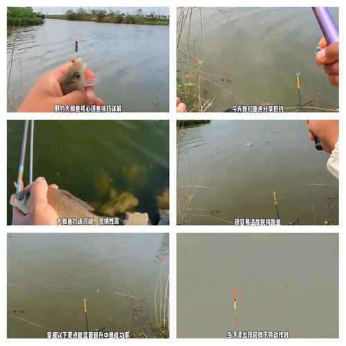 詳解怎樣遛魚的技巧方法必看_八字溜魚技巧 安全性_八字溜魚法 正八字反八字區別