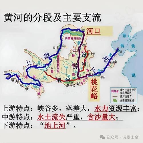 黃河流魚好幾年才一次今年趕上了_黃河流魚現象 黃河鯉魚數量減少原因 黃河鯉魚保護措施