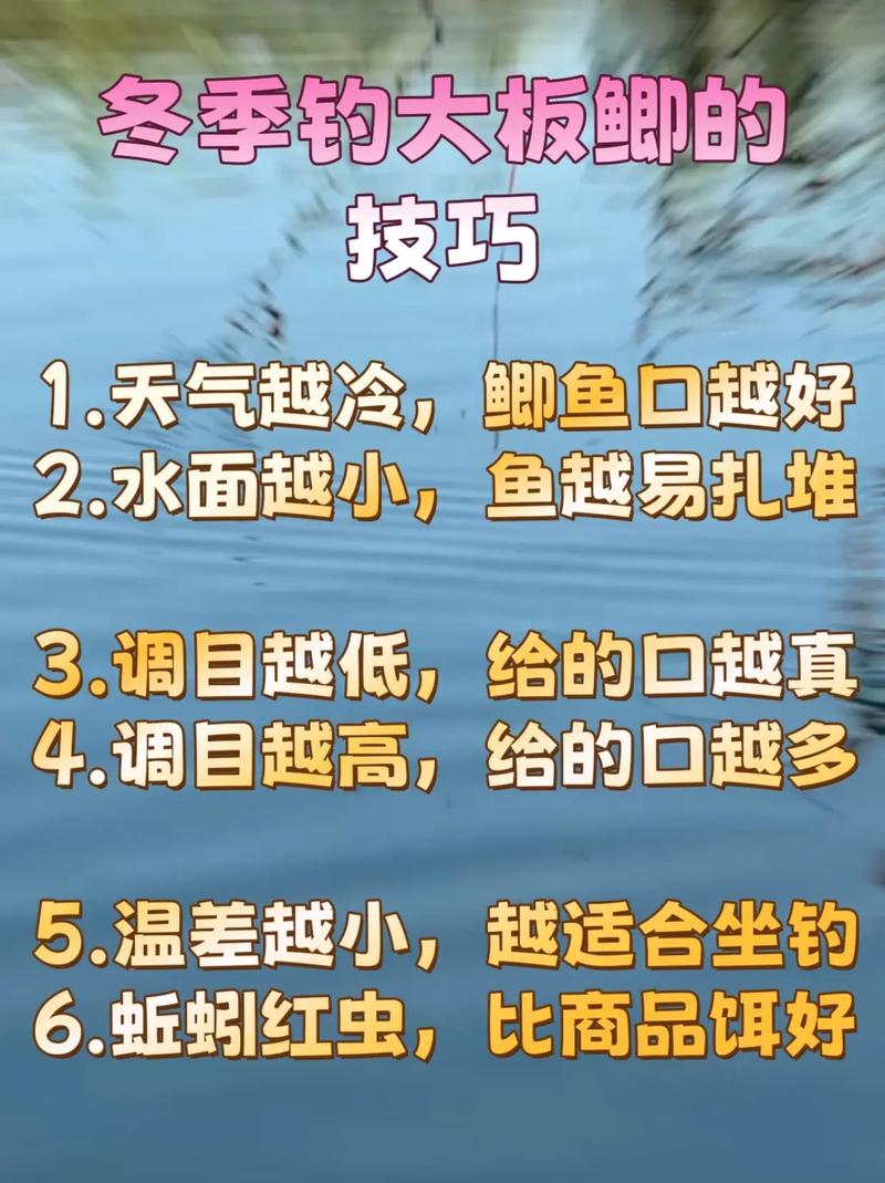 冬季釣魚技巧總結_釣位選擇策略_化邵新冬季釣魚技巧
