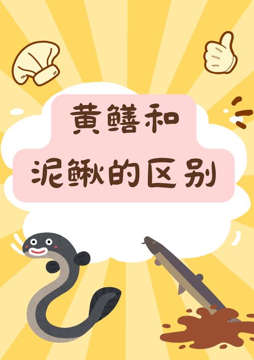 黃鱔屬于魚類嗎_黃鱔雌雄同體轉變過程_黃鱔穴居淤泥原因分析