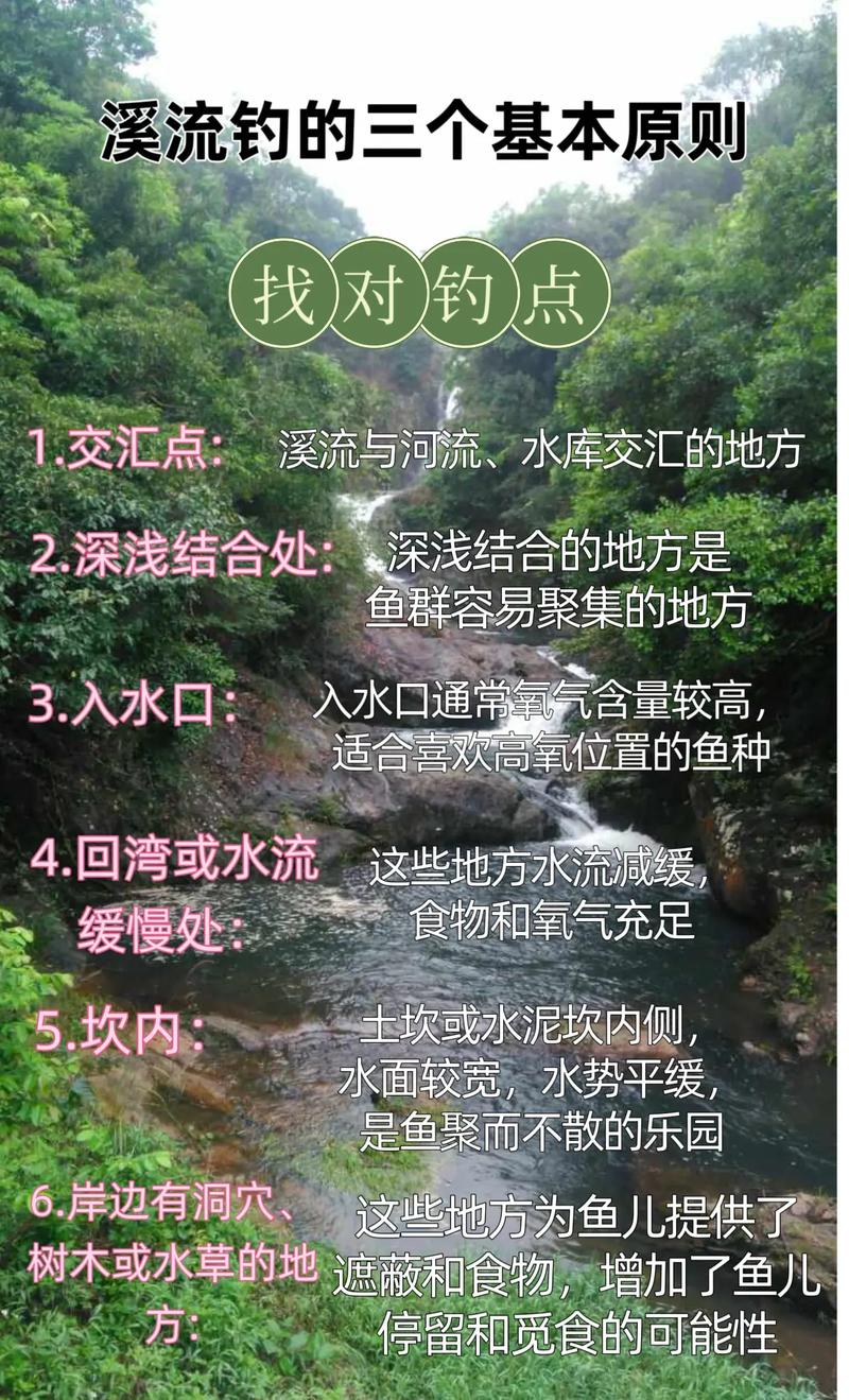 溪流釣魚釣位選擇_溪流野釣技巧全攻略_溪流釣魚技巧