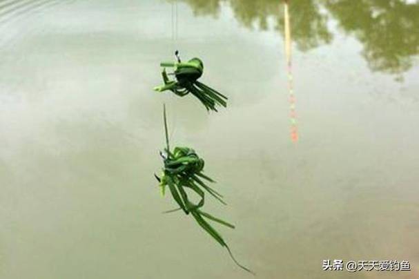 草魚喜歡吃什么餌料_餌料草魚吃喜歡吃什么_草魚吃餌料漂相視頻