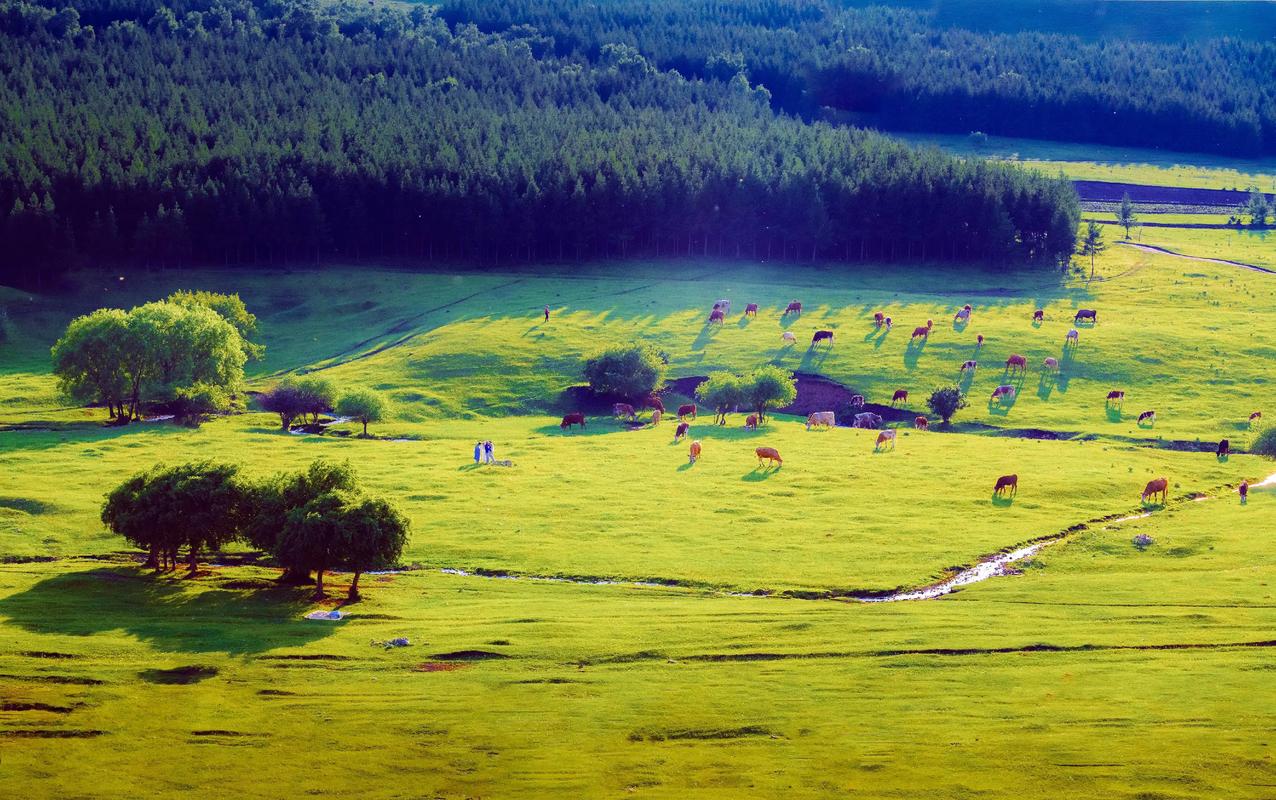 壩上草原歷史文化旅游_壩上草原 野釣_壩上草原地理位置