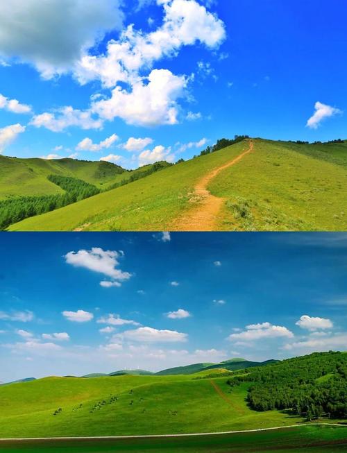 壩上草原地理位置_壩上草原 野釣_壩上草原歷史文化旅游