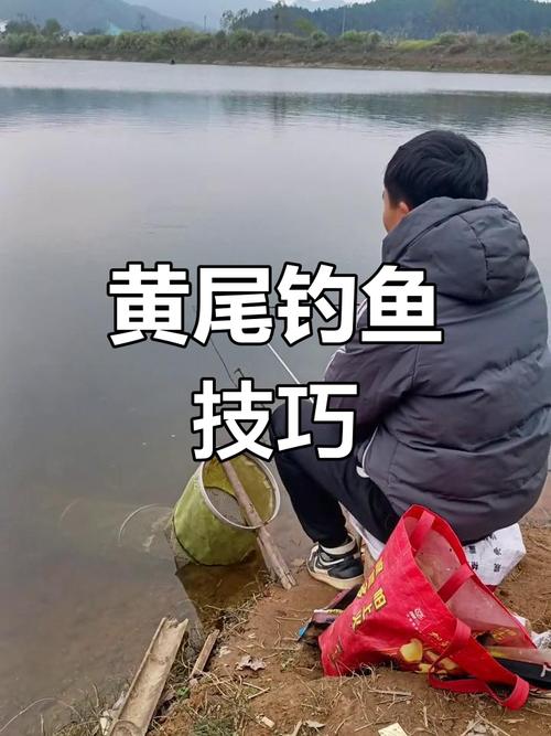 青黃尾釣魚方法_野釣青黃尾技巧_黃尾魚很多人都釣過學會這套技巧無人能及必看